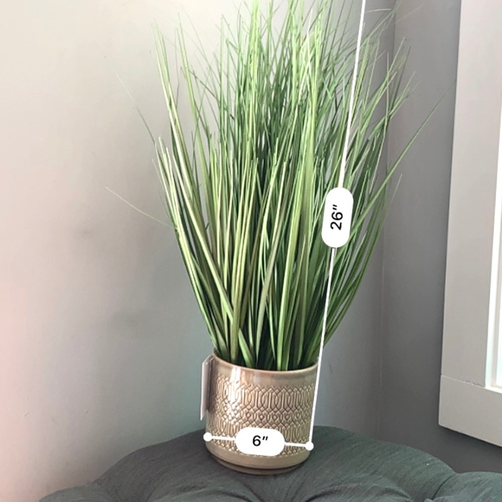 NWT elegant tall grass plant in ceramic pot - Picture 4 of 4
